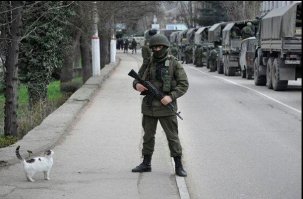 Военные коты