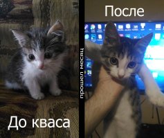 Фотожоп+корел, свои 5 копеек, все для фишек делал, не судите строго, каждая картинка-ответ на пост.