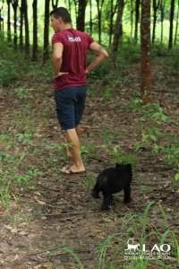 беги мужик, сзади медведь