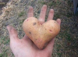 Из Белоруссии с любовью)