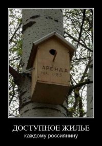 в мире капитала и пернатые платят