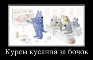 их учат у животных тоже есть школы вот пример