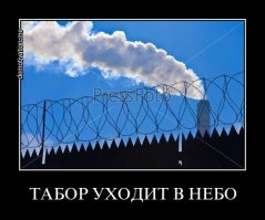 11 национальных особенностей цыган, которые нам не понять