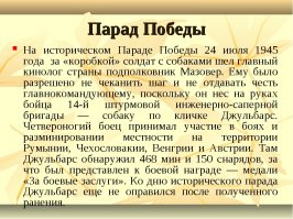 Четвероногий воин: история боевых псов