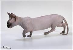 И крысы и морские свинки.... и мутации разные- от завитых ушей до коротких лап... выглядит непривычно.