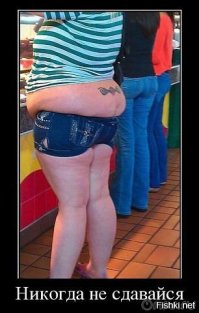 София Адамс – сотрудница полиции и лицо марки нижнего белья plus-size