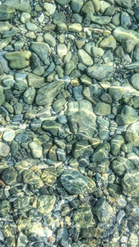 Мы в Крыму, жарко и вода волшебная. Дорого, но для курорта нормально. Пиво от 100 ₽, разливное 80, но вода водой. У нас номер-студия 1000₽ в сутки за номер, но нам выгодней питаться в столовой (супы по 60, салаты 40, отбивные от 60 до 90, волшебная окрошка, хлеб 1₽) До пляжа 5 минут. Это Алушта, но мне больше всего нравятся пляжи на другом берегу от Севастополя, от Графской пристани паром ходит, там песок, а в Алуште галька, но пляж огромный и бесплатный. Дыни мёд, одна на 50₽ . Но после 12 ночи по улицам бродят ходоки и очень стремно. На фото Алушта и секретное место.