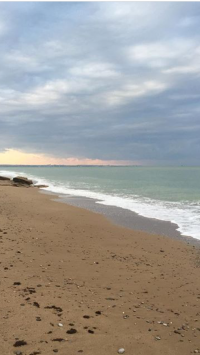 Мы в Крыму, жарко и вода волшебная. Дорого, но для курорта нормально. Пиво от 100 ₽, разливное 80, но вода водой. У нас номер-студия 1000₽ в сутки за номер, но нам выгодней питаться в столовой (супы по 60, салаты 40, отбивные от 60 до 90, волшебная окрошка, хлеб 1₽) До пляжа 5 минут. Это Алушта, но мне больше всего нравятся пляжи на другом берегу от Севастополя, от Графской пристани паром ходит, там песок, а в Алуште галька, но пляж огромный и бесплатный. Дыни мёд, одна на 50₽ . Но после 12 ночи по улицам бродят ходоки и очень стремно. На фото Алушта и секретное место.