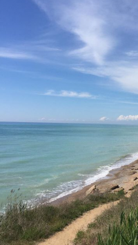 Мы в Крыму, жарко и вода волшебная. Дорого, но для курорта нормально. Пиво от 100 ₽, разливное 80, но вода водой. У нас номер-студия 1000₽ в сутки за номер, но нам выгодней питаться в столовой (супы по 60, салаты 40, отбивные от 60 до 90, волшебная окрошка, хлеб 1₽) До пляжа 5 минут. Это Алушта, но мне больше всего нравятся пляжи на другом берегу от Севастополя, от Графской пристани паром ходит, там песок, а в Алуште галька, но пляж огромный и бесплатный. Дыни мёд, одна на 50₽ . Но после 12 ночи по улицам бродят ходоки и очень стремно. На фото Алушта и секретное место.