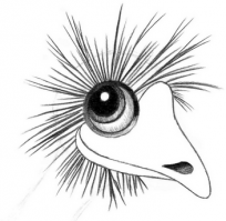 -Набор карандашей, фотографическая точность и никакого мошенничества-
_________________
Круто, мне нравятся ч/б рисунки.
Рисунок по памяти, карандаш (не ©)...