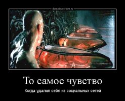 За кадром "Матрицы": 16 фактов для отъявленных фанатов