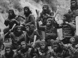 Устроили драку 