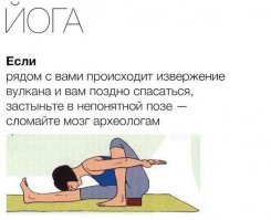 Животные, которым йога дается лучше, чем вам!