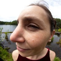 Объектив "рыбий глаз", чем ближе, тем крупнее.