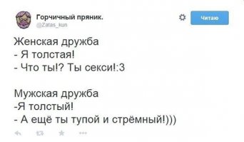Несколько шуток, которые 100% описывают женщину