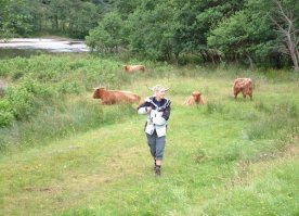 Показалось