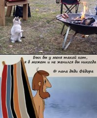 Несколько шуток, которые 100% описывают женщину