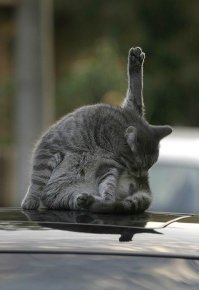 автору видео нужно брать пример с него: