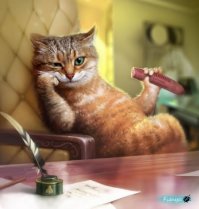 Надеюсь, кот получил свою вкусняшку!