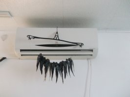 Воду охлаждать - тоже прикольно. Я бычка азовского на кондиционере сушил. Мне так удобно было. Поток воздуха мух отгоняет. Кондиционер - вешалка - рыба. Очень удобно!