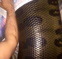 Очень похоже на сытую змею. Интересно,а что это на самом деле?