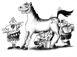 Пацана зажало между коров