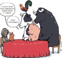 Щенков облили гудроном и оставили умирать на улице