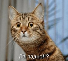 Ближайшие 9 месяцев лето — только за деньги