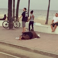 Ну такую тушу только ураганом 10 класса можно чуть сдвинуть с места и то не далеча!