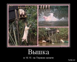 была такая передача на первом про звезд))