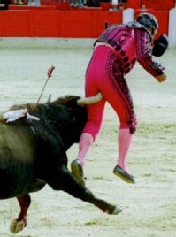 15 фото, сделанных в идеальный момент, на которые больно даже смотреть