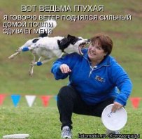 Демотиваторы 30.08.2016