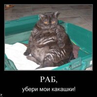 Новое - это хорошо забытое