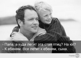 Конфуз в трамвае