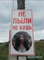 Че самый хитрый или че 
