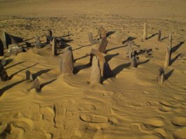 Я так понимаю, что рядом с "мегалитами", следы "мегачеловеков".