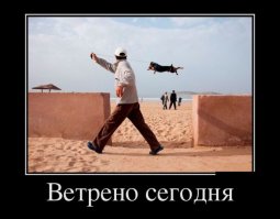 Молодой поручик Ржевский прочитал в книге о правилах хорошего тона, как разговаривать с дамами. Там были даны примерные темы разговора: о животных, о погоде, о музыке, о любви.
Поручик не замедлил воспользоваться советами и решил познакомиться с дамой, гуляющей с болонкой.
— Какая у Вас мелкая собачка, — сказал Поручик и, подойдя поближе, пнул ее сапогом. 
— Низко полетела что-то, к дождю видать. Впрочем, я поручик Ржевский, у меня дома есть барабан, пойдемте потр#хаемся...