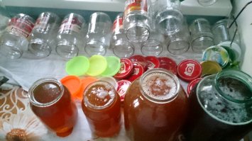 В этом году Дягиль и его родственные растения (пиканник) обеспечили хороший урожай мёда. На своей небольшой пасеке (Свердловская область) собрал около 200 литров товарного меда. Аромат насыщенный, вкус нежный, чуть терпкий, послевкусие долгое. Для сравнения на фото дягилевый мёд в банке справа. Он очень темный, долго не кристализуется (почти всю зиму), вместо этого загустевает и превращается в тягучую карамель.