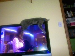 Вот так я это вижу)