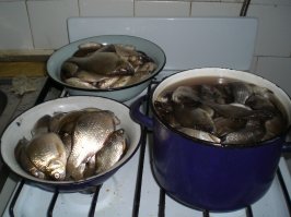 Карасик. Саньково, Клинский район.