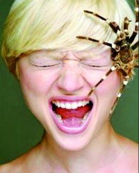 Не бойся дорогая, он маленький. Ща будем лечить тебя от арахнофобии.