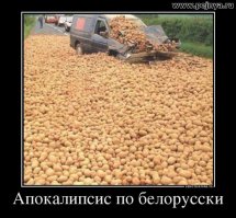 Про картофель