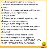 Однажды заезжий фехтовальщик