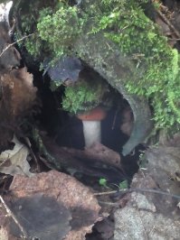 На прошлых выходных вот с такими ребятами познакомился...