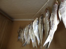 Готовое к употреблению!!