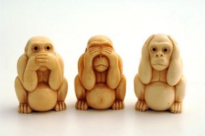 Откровения природы: такими вы этих животных еще не видели!