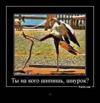 Настоящие шедевры в фотошопе не нуждаются
