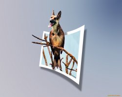 А когда выпустят с лающей птичкой?