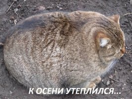 утепляйся правильно!