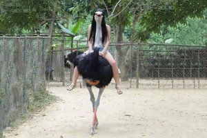 14 извращенческих фотографий, которые на самом деле - совершенно не то, чем они кажутся